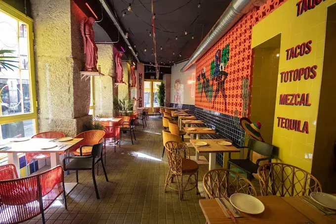 Gracias Padre - Zona Rosa